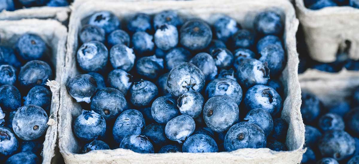 Romere Recipes